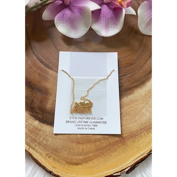 NWT Sterling Forever February Birthstone Necklace - Picture 6 of 6